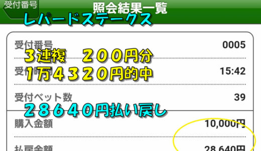レパードＳ  ３連複　１万４３２０円　馬単　１２８００円的中　とレース回顧